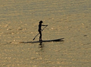 Stand up paddle Merlimont